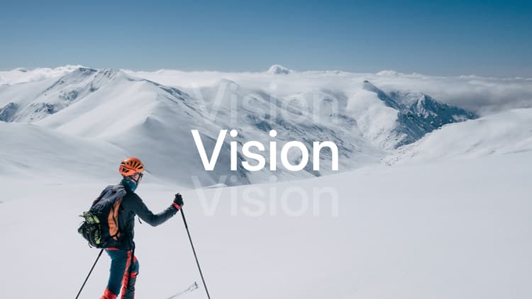 Vision